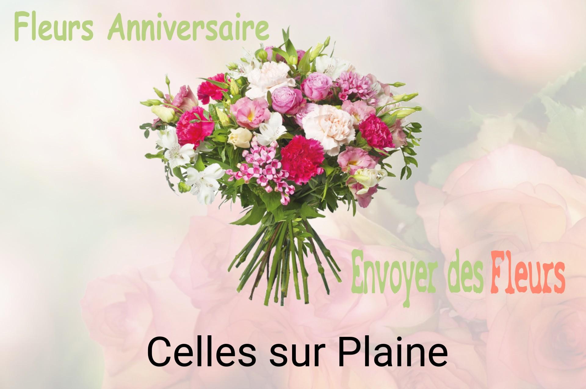 Bouquet de fleurs d’anniversaire livré à Celles-sur-Plaine