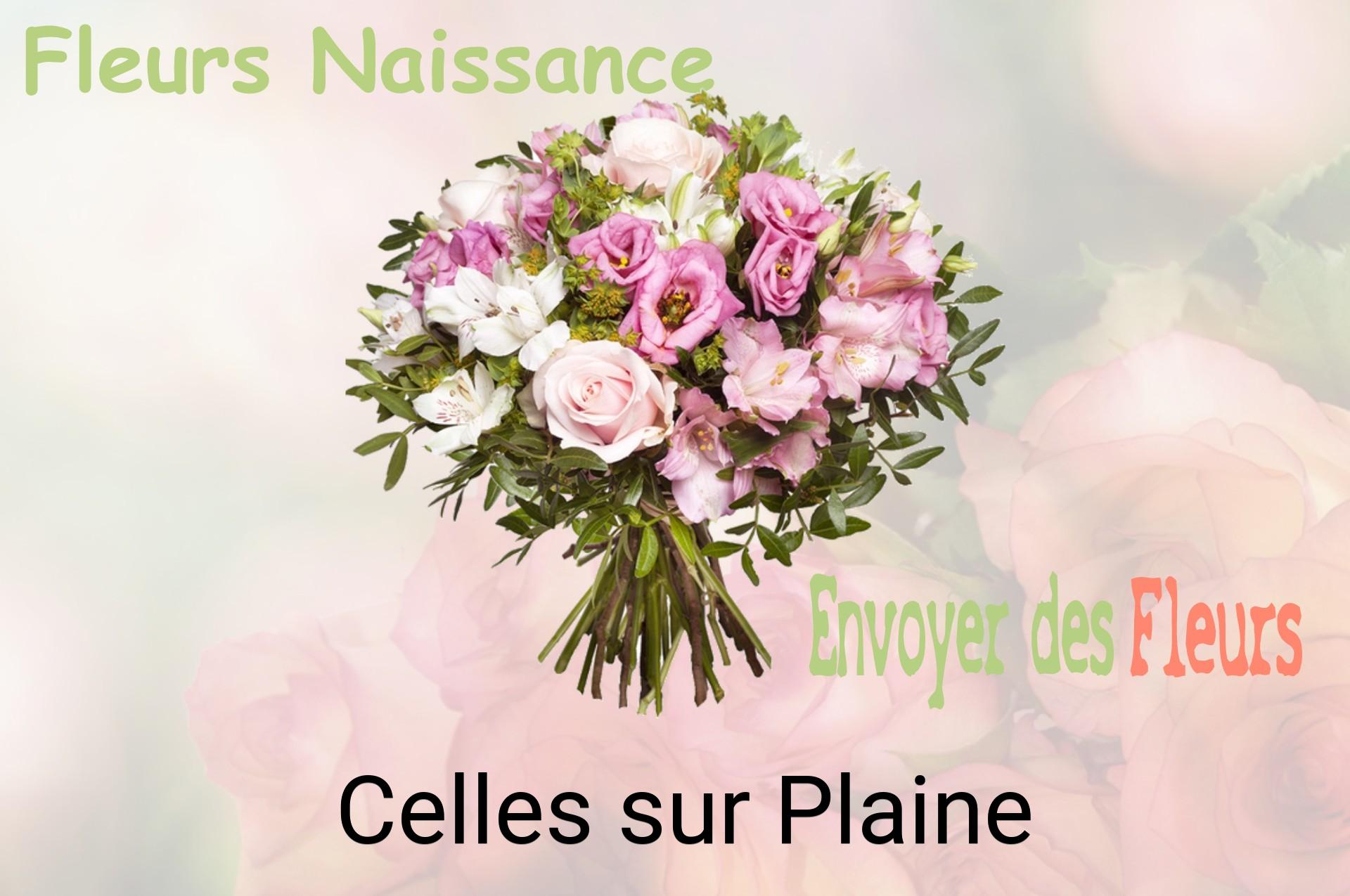 Bouquet de fleurs de naissance livré à Celles-sur-Plaine