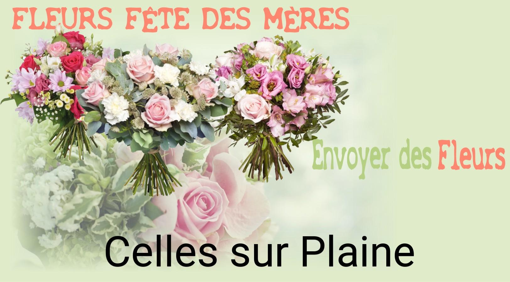 Bouquet de Fête des Mères livré à Celles-sur-Plaine